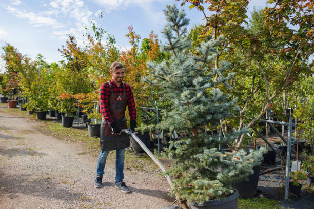 Best Tree Risk Assessment  in William Paterson University Of New Jersey, NJ